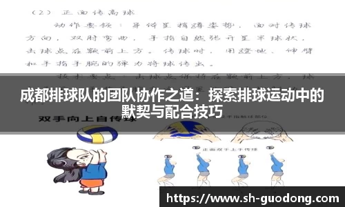 成都排球队的团队协作之道：探索排球运动中的默契与配合技巧