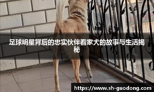 雷竞技RAYBET官网