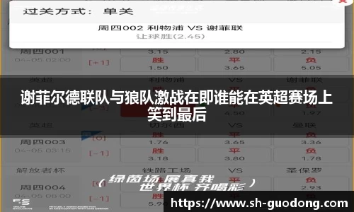 谢菲尔德联队与狼队激战在即谁能在英超赛场上笑到最后