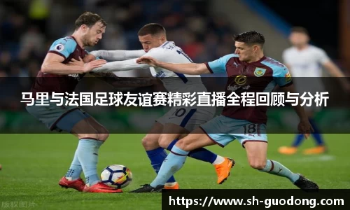 雷竞技RAYBET官方平台