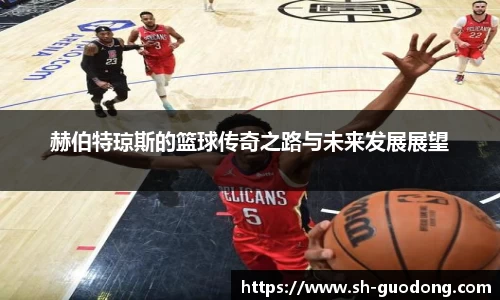 赫伯特琼斯的篮球传奇之路与未来发展展望