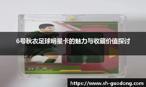 6号秋衣足球明星卡的魅力与收藏价值探讨